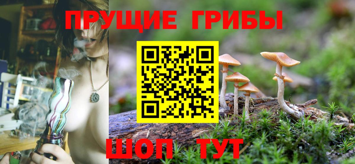 Галлюциногенные грибы GOLDEN TEACHER  Вход с VPN  Псилоцибиновые грибы MAGIC MUSHROOMS  как найти   Нижнеудинск 